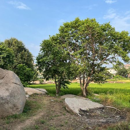 Sunrise Guest House & Restaurant 亨比 外观 照片